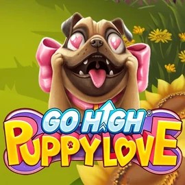 Go High Puppy Love slot logo by RubyPlay at SlotsPalace Casino