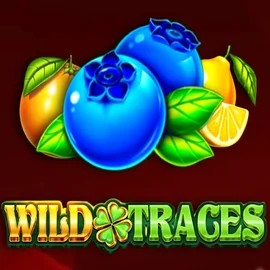 Wild Traces – slot by Amusnet Interactive, featured at slotspalacegreece.com